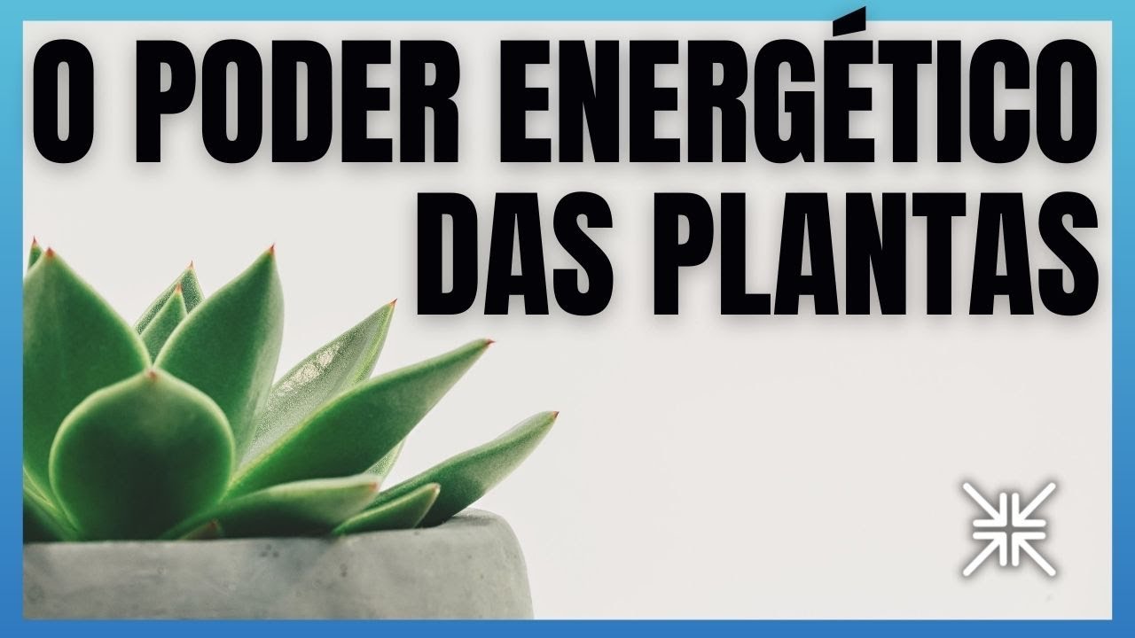 O PODER ENERGÉTICO DAS PLANTAS EM SUA VIDA | FENG SHUI