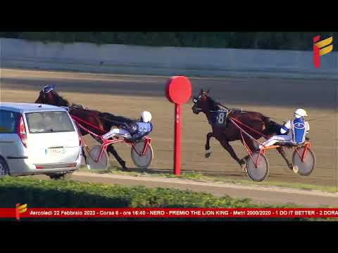 VI corsa del 22 febbraio 2023 - 4 Anni - Metri 2000/2020 - Gara centrale