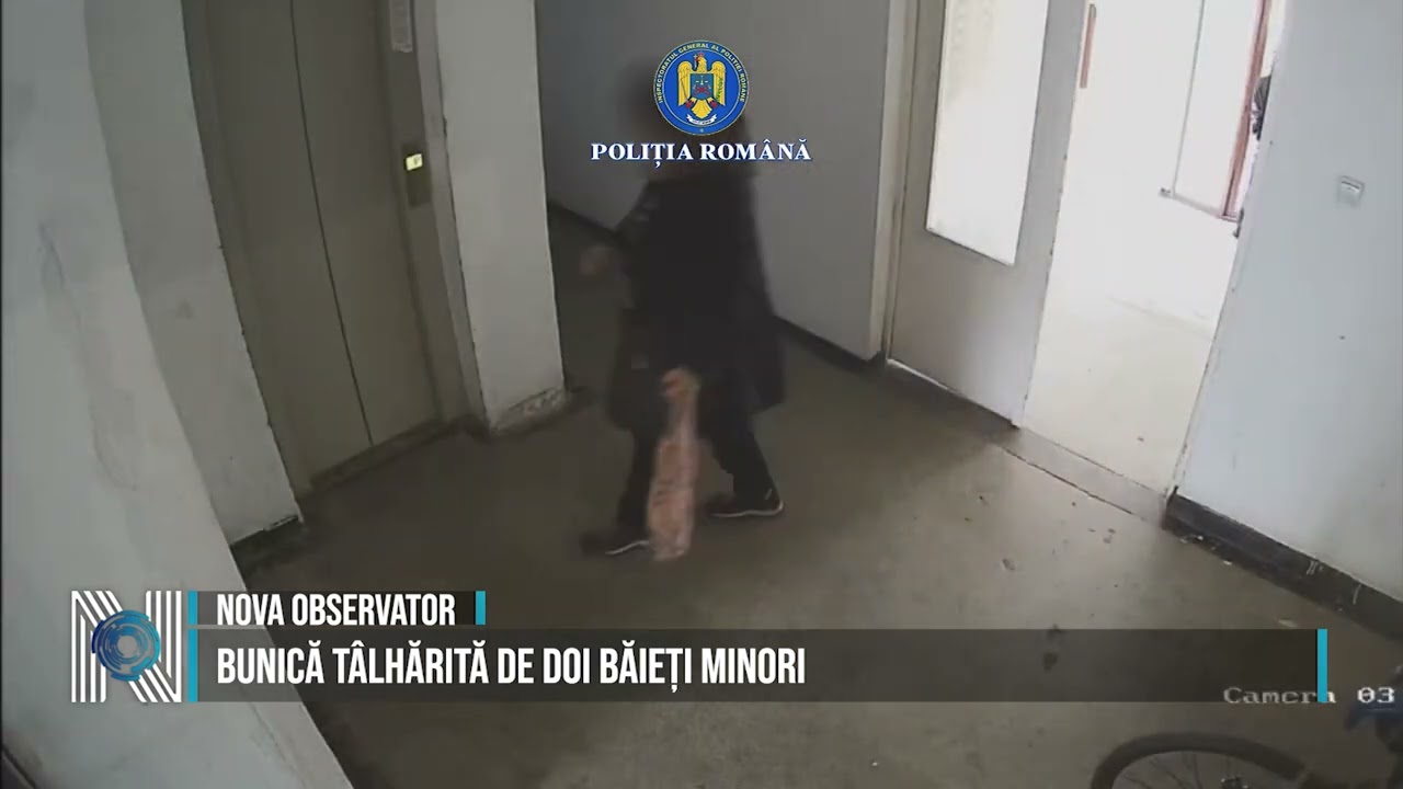 BUNICĂ TÂLHĂRITĂ DE DOI BĂIEȚI MINORI
