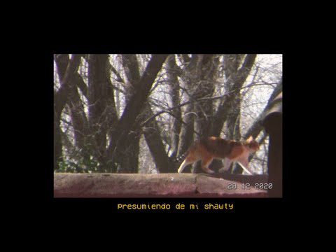 SESENTAY6, ONLY - Píxeles📲 | VIDEOCLIP