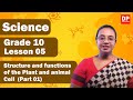 Lesson 06 Structure And Functions Of The Plant And Animal Cell Part 01 Grade 10 Science In English