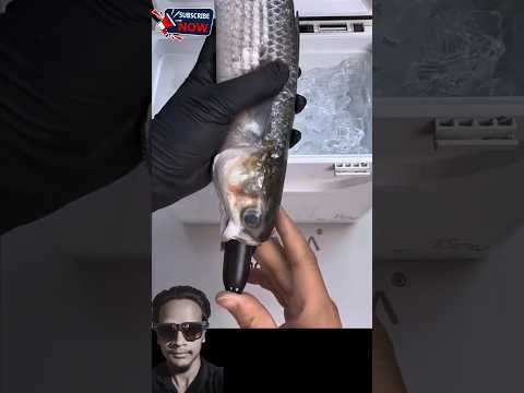 Looks Very Good #beats #music #shorts #shortsvideo