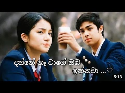 Danne Naha Wage (දන්නේ නෑ වාගේ) Korean mix Sinhala Song New | 2023 @slhimadi_music29