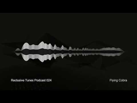 Reclusive Tunes Podcast 024 - Flying Cobra  • Ambient • Dub Techno •