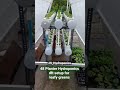 Trial Setup For Hydroponic Lovers Contact 9300756573 JS Hydroponics
