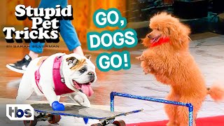 The Best Dog Tricks So Far (Mashup) | Stupid Pet Tricks | TBS