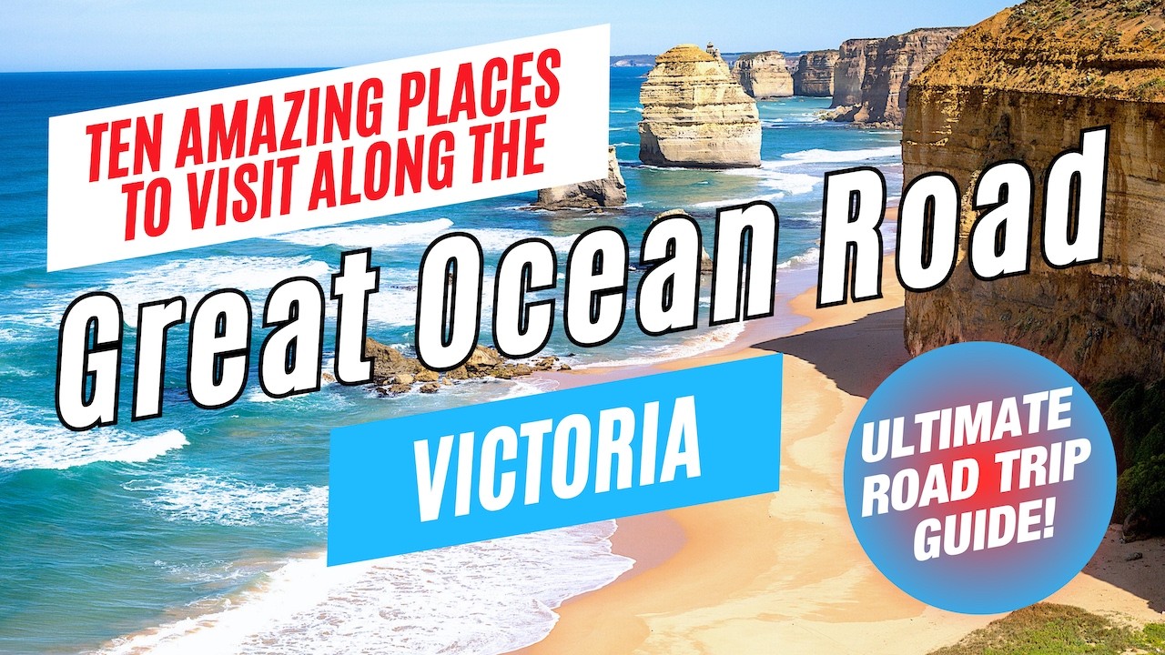 Great Ocean Road Wildlife Watching: 5 Tips from a Local! 🦘