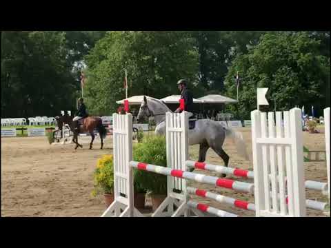 Turnierimpressionen | Catch in Breitenburg