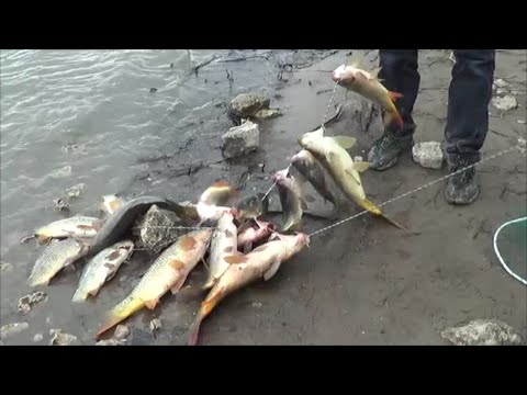 и вновь на рыбалке