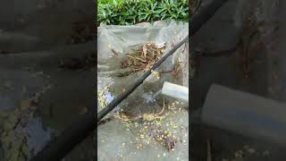 How To Recharge Well And Stay Healthy 24/7