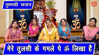 Meri Tulsi Ke Gamle Pe Pm Likha Hai — मेरी तुलसी के गमले पे ॐ लिखा है - भजन devotional song