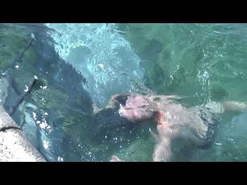 ODBAČENA KAZNENA PRIJAVA PROTIV IGORA LEGAZA