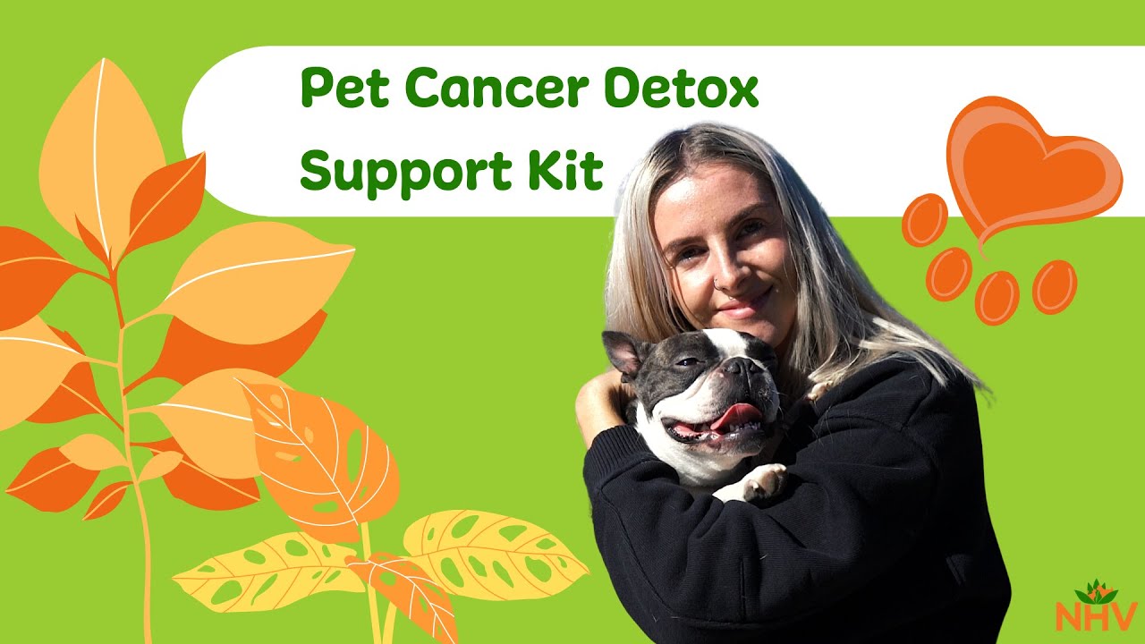 NHV Pet Cancer Super Support Kit For Cats & Dogs
