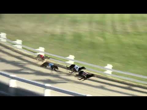 2022.06.24. 08. futam - Kincsem Park Magyar Derby Elődöntő I. futam