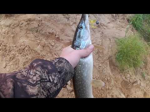 За ЩУКОЙ по Клязьме. Рыбалка на спиннинг.