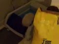 The Electronic Litter Box