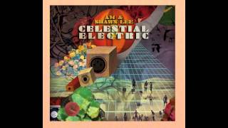 AM & Shawn Lee - Spin It Around