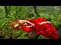Tale of Tales Soundtrack  Alexandre Desplat 2