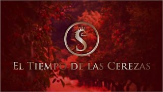 "El Tiempo de las Cerezas" - Enrique Bunbury - Cover / Sognatore