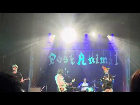 Post Animal - Dirtpicker (Live at Bluebird Theatre: December 17th, 2025)