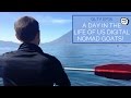 A Day in The Life of us Digital Nomad Goats ...