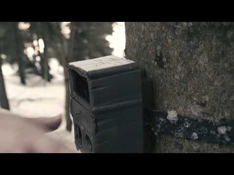 Dokument Vytí s Vlky: Příběh jedné Krušnoholky