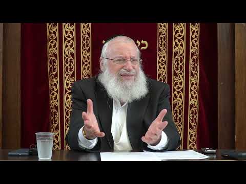 Saying Korbanos Every Day | Weekly Shiur by Harav Asher Weiss Shlita | 5784