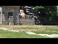 Detroit Zoo June 11 2016 Part 1