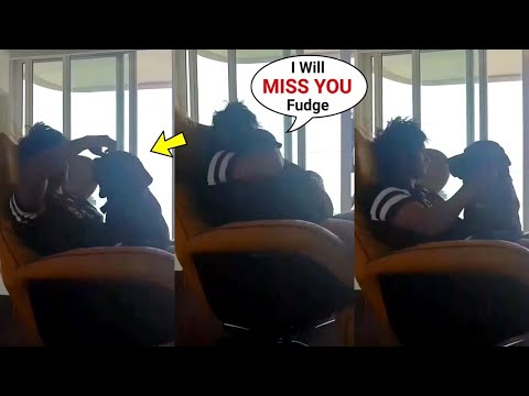 Sushant Singh Rajput Petting His Dog Fudge For Last Time Will Break Your Heart! #unitedforjustice