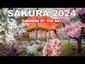 Singapore Gardens By The Bay | Sakura 2024 Tour 🌸🌸🌸🇸🇬