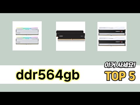 많이 판매된 ddr564gb 추천 순위 TOP 5