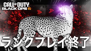 チーター大量発生でランクプレイが終焉へ...[BO6]