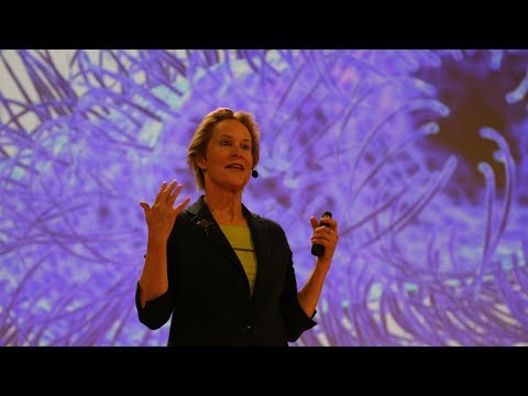 Enzymes by Evolution