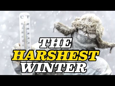 Climate Anomaly in the USSR in 1978: What Happened?