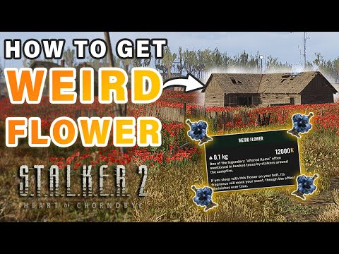 How to Get The Weird Flower Artifact  | Poppy Field Anomalous ► STALKER 2: Heart of Chernobyl