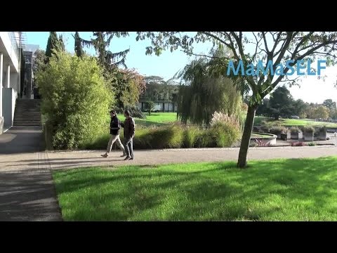 University Rennes 1 presents the Master in Materials science Mamaself