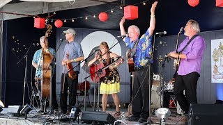 Wide Open Spaces - David Bromberg's "Danger Man"