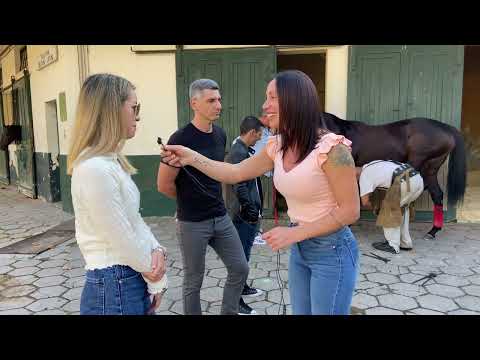 Girona Fever ! La yegua Uruguaya que correra contra los más veloces de Argentina! 💪🏻☺️