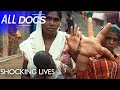 The Boy with the Giant Hands - Kaleem Mohammed | Extraordinary People Documentary | Documental The Boy with the Giant Hands - Kaleem Mohammed | Extraordinary People Documentary | Documental