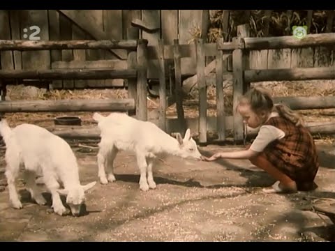 Na dvore a na pažiti - Kozliatka - 05