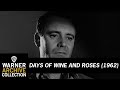 Off The Wagon | Days of Wine and Roses | Warner Archive