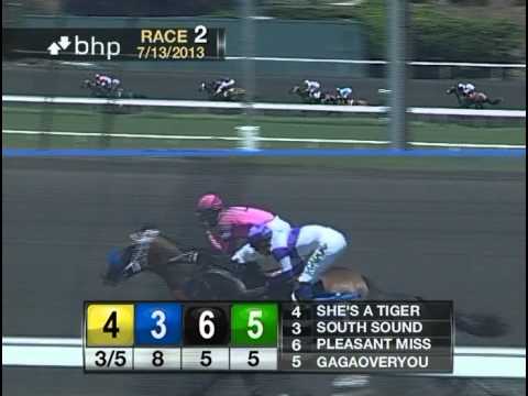 The 69th Running of The Landaluce - $150,000 Guaranteed