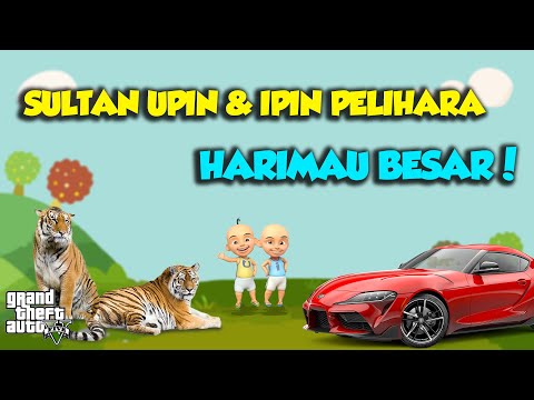 Sultan Upin Ipin Pelihara MACAN Toyota SUPRA GR Gembira Seru - GTA V Sultan Upin Ipin Terbaru
