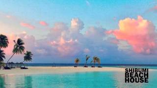 Inas X - Love Is (Shibumi Remix)