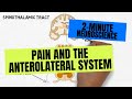 2-Minute Neuroscience: Pain and the Anterolateral System