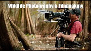 Learn Wildlife Filmmaking & Photography