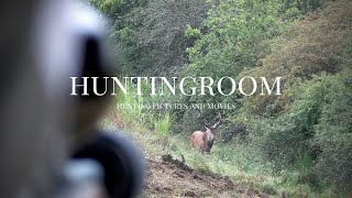 Hirschbrunft in der Eifel 2021 I Jetzt neu auf Hunt on Demand