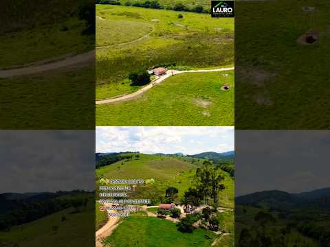 🌳🌾 FAZENDA 🌾🌳 INDISPONÍVEL