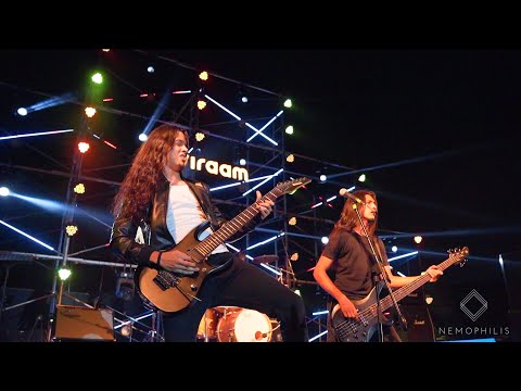 Nemophilis Live