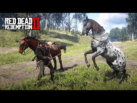 Em busca do APPALOOSA LENDÁRIO TAINA  -  O cavalo do Charles Smith -  ep14